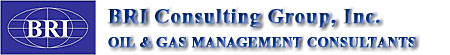 BRI Consulting Group, Inc.